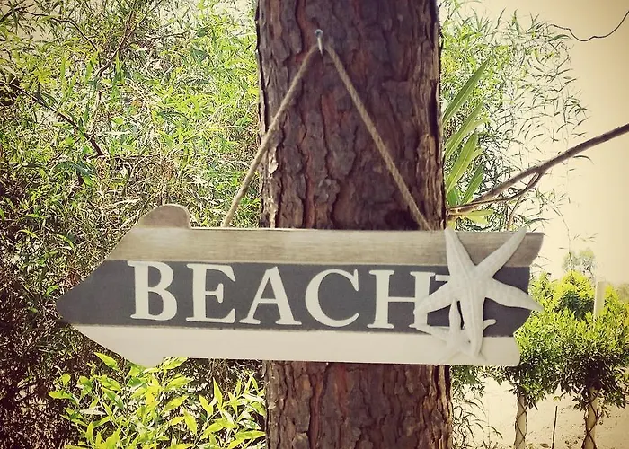 Deniz Yildizi * Фетхие