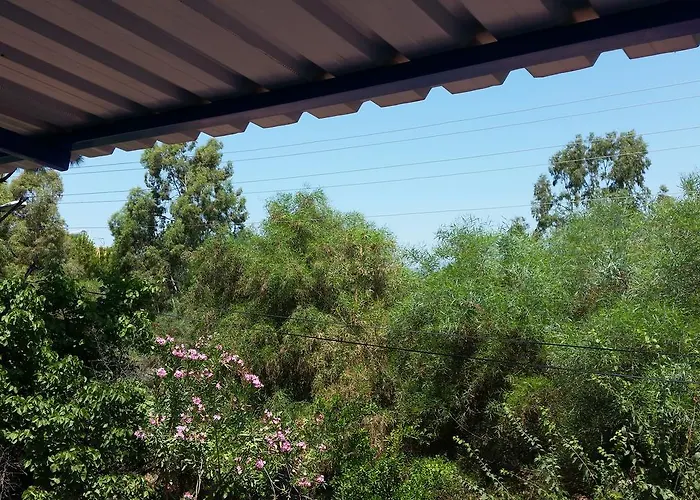 Deniz Yildizi * Фетхие